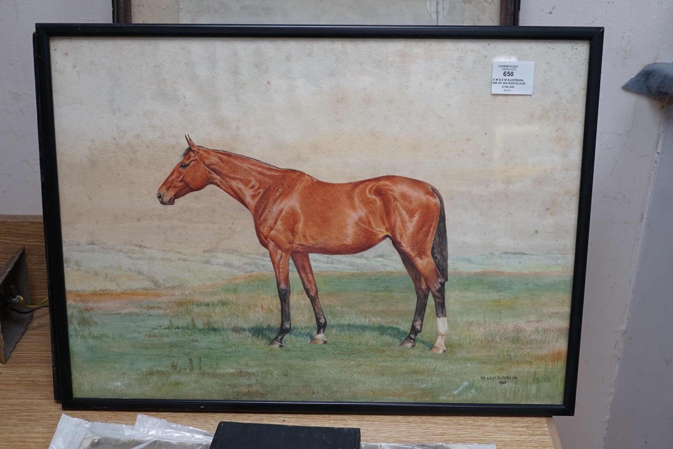 D M & E M Alderson, pair of watercolours, Portraits of racehorses c.1943/48 raced at Calcutta, together with a group of related photographs and ephemera, signed and dated, 38 x 52cm